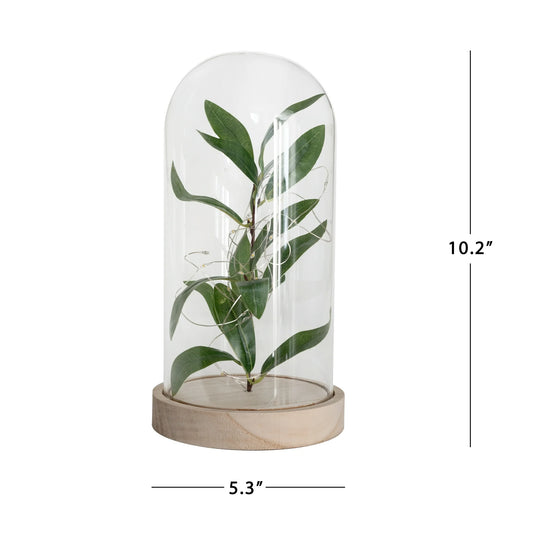 Mainstays 10" Indoor Tabletop LED Glass Enclosed Cloche with Faux Green Plant and Natural Wood Base